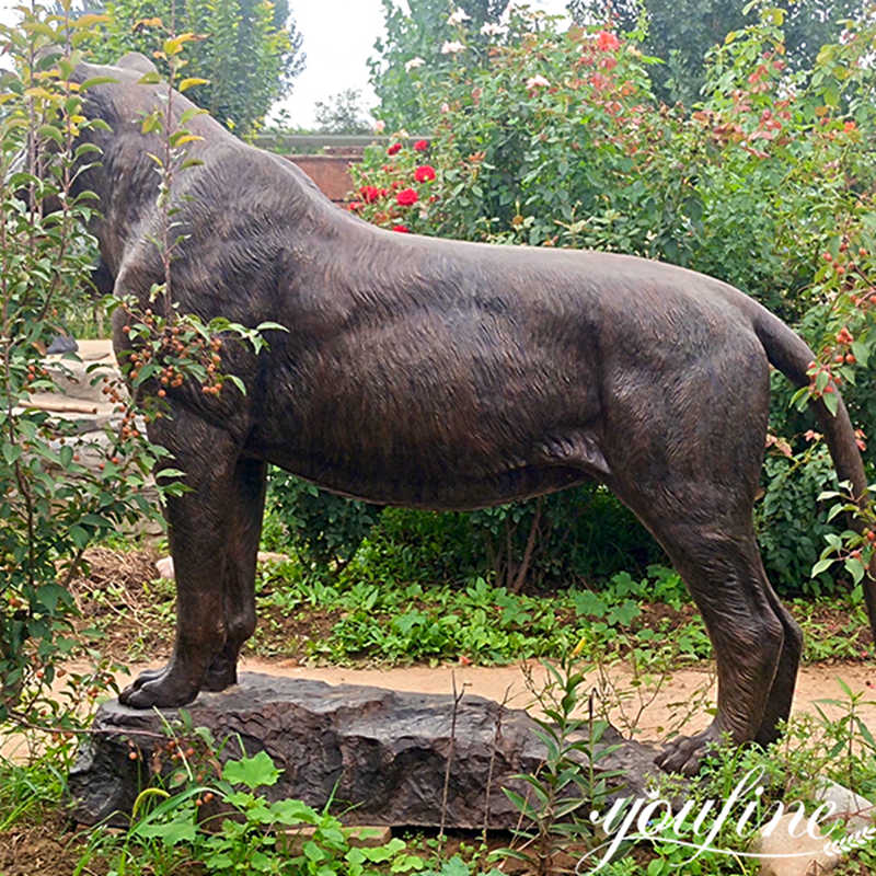 bronze lion statues outdoor