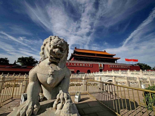 Diverse Models-Various Forms of Chinese Lion Food Dog Sculpture